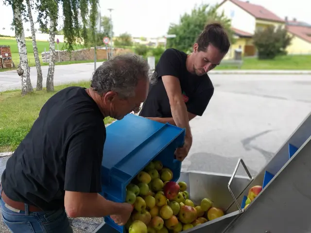 Obstpressen in Nittenau