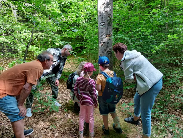 Naturkundliche Wanderung